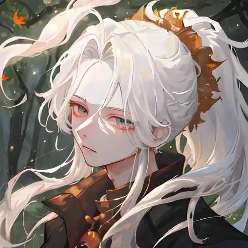 6686体育app首席作者Chloe