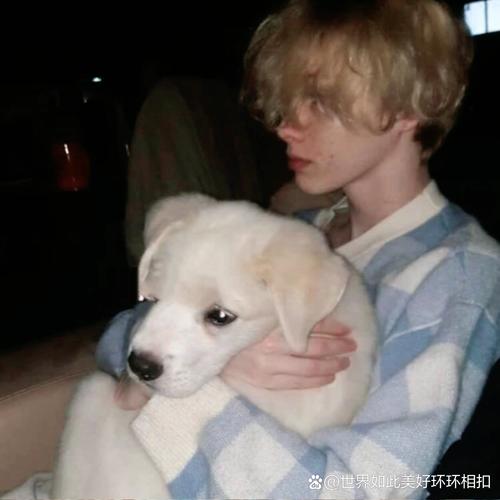 6686体育app高级作者Milo