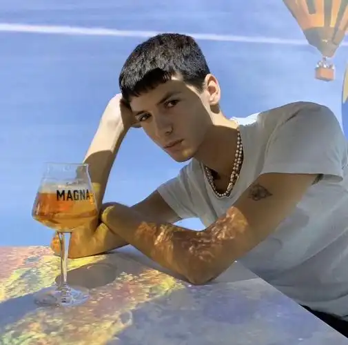 6686体育app初级作者Vega