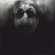 6686体育app官方作者Faye