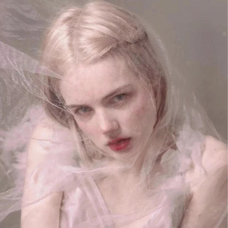 6686体育app银牌作者Isla