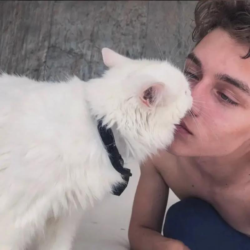 6686体育app官方作者回首彼岸