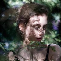 6686体育app首席作者Elsa