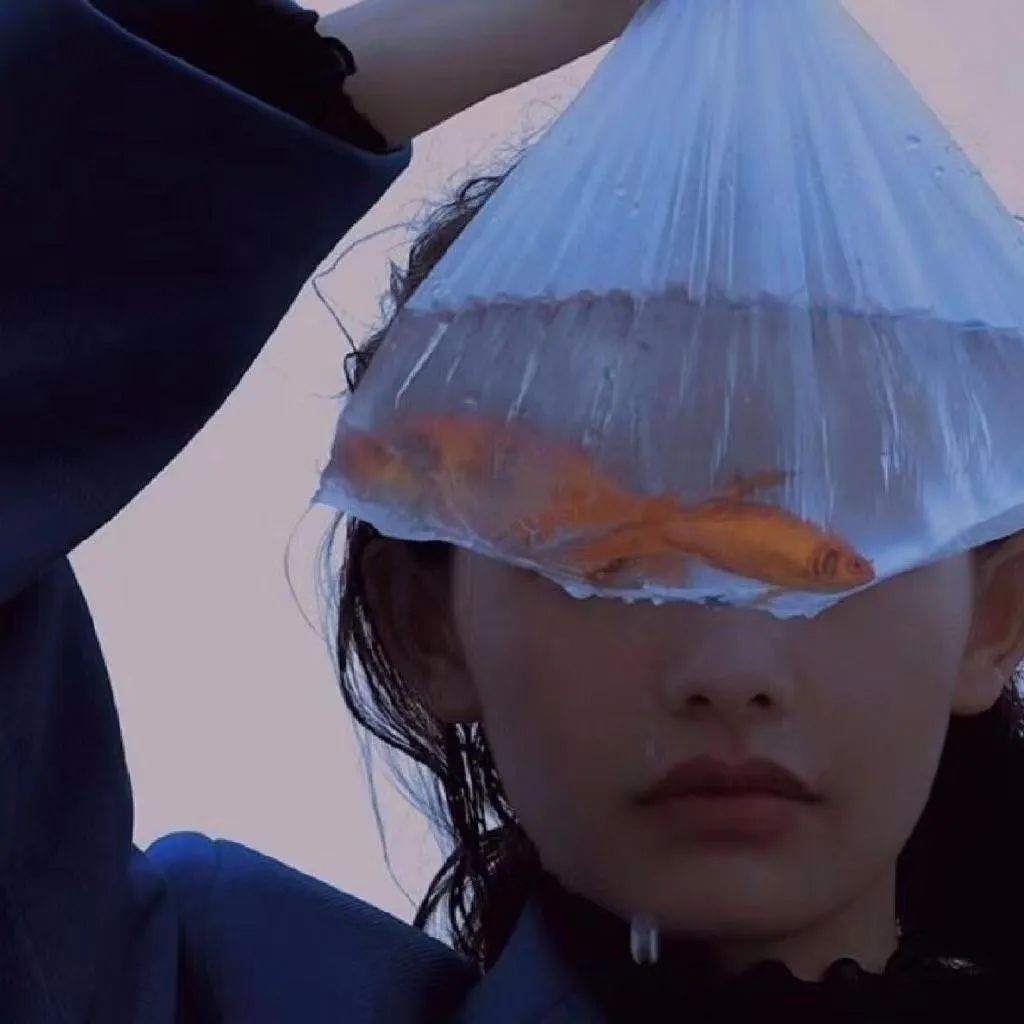 6686体育app铜牌作者Bob